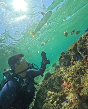 武藤潜水に投稿された画像（2024/9/26）