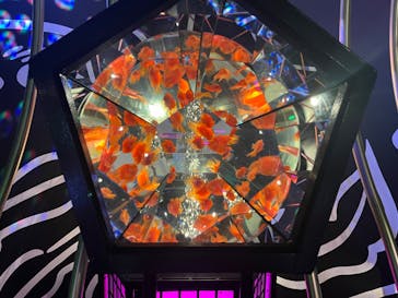 UWS AQUARIUM GA☆KYOに投稿された画像（2024/9/26）