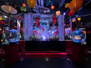 UWS AQUARIUM GA☆KYOに投稿された画像（2024/9/26）