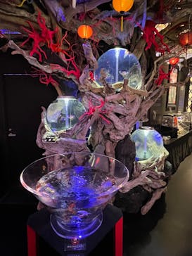 UWS AQUARIUM GA☆KYOに投稿された画像（2024/9/26）