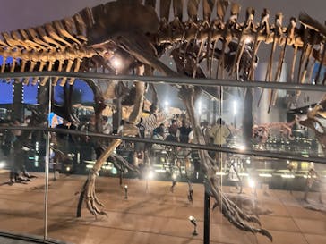 福井県立恐竜博物館に投稿された画像（2024/9/26）