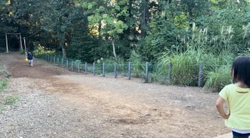 福井県立恐竜博物館に投稿された画像（2024/9/26）