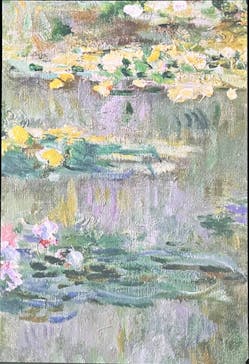 モネ＆フレンズ・アライブに投稿された画像（2024/9/26）