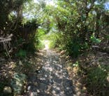 沖縄マリンサービス碧に投稿された画像（2024/9/26）