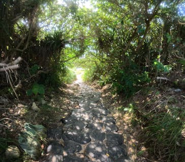 沖縄マリンサービス碧に投稿された画像（2024/9/26）