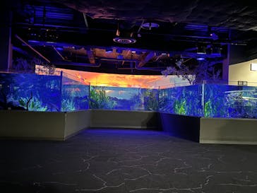 カワスイ 川崎⽔族館に投稿された画像（2024/9/26）