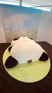 サンエックス90周年　うちのコたちの大展覧会　@ホテル日航新潟 31階　Befcoばかうけ展望室に投稿された画像（2024/9/26）