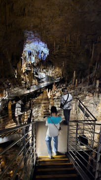 おきなわワールドに投稿された画像（2024/9/26）