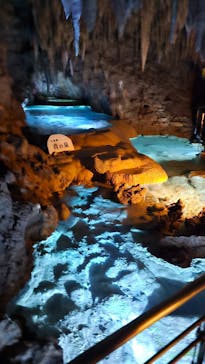 おきなわワールドに投稿された画像（2024/9/26）