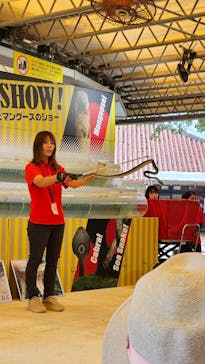 おきなわワールドに投稿された画像（2024/9/26）