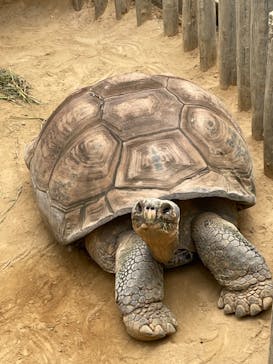 恩賜上野動物園に投稿された画像（2024/9/26）