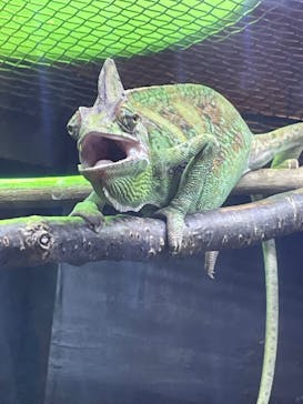 恩賜上野動物園に投稿された画像（2024/9/26）