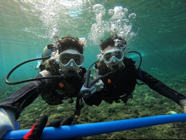 武藤潜水に投稿された画像（2024/9/26）