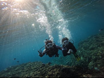 武藤潜水に投稿された画像（2024/9/26）
