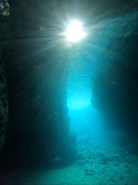 武藤潜水に投稿された画像（2024/9/26）