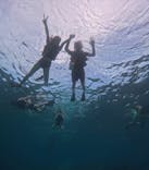 西表島 ADVENTURE PiPi（アドベンチャーピピ）に投稿された画像（2024/9/26）