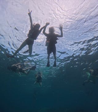 西表島 ADVENTURE PiPi（アドベンチャーピピ）に投稿された画像（2024/9/26）