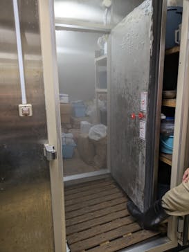 しながわ水族館に投稿された画像（2024/9/26）