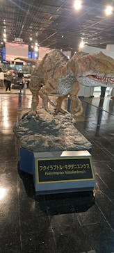 福井県立恐竜博物館に投稿された画像（2024/9/26）