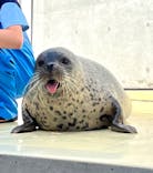 島根県立 しまね海洋館に投稿された画像（2024/9/26）