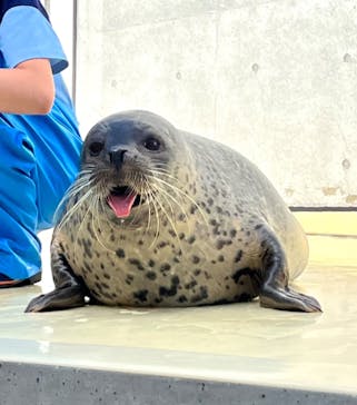 島根県立 しまね海洋館に投稿された画像（2024/9/26）