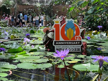 神戸どうぶつ王国に投稿された画像（2024/9/26）