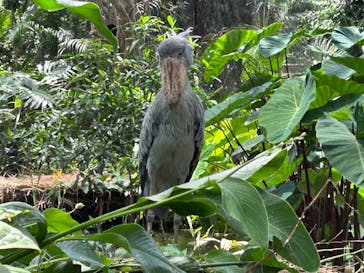 神戸どうぶつ王国に投稿された画像（2024/9/26）