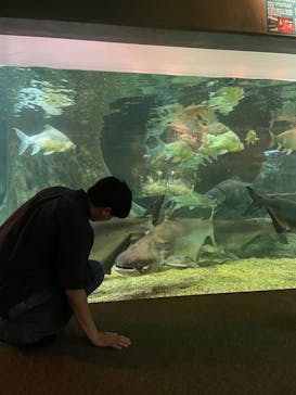 世界淡水魚園水族館　アクア・トトぎふに投稿された画像（2024/9/26）