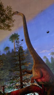 福井県立恐竜博物館に投稿された画像（2024/9/26）