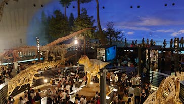 福井県立恐竜博物館に投稿された画像（2024/9/26）