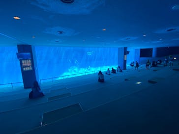 名古屋港水族館に投稿された画像（2024/9/26）