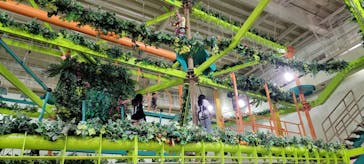 おやつタウンに投稿された画像（2024/9/26）