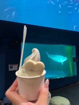 鴨川シーワールドに投稿された画像（2024/9/26）