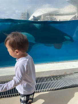 鴨川シーワールドに投稿された画像（2024/9/26）