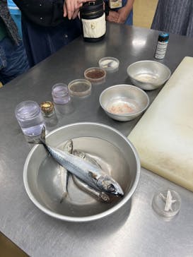 しながわ水族館に投稿された画像（2024/9/26）