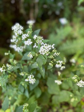 彫刻の森美術館に投稿された画像（2024/9/26）