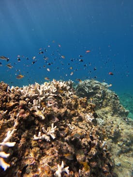 マーレ石垣島に投稿された画像（2024/9/26）