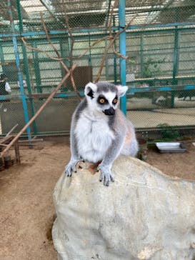 東北サファリパークに投稿された画像（2024/9/26）