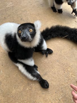 東北サファリパークに投稿された画像（2024/9/26）