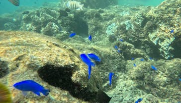 武藤潜水に投稿された画像（2024/9/27）