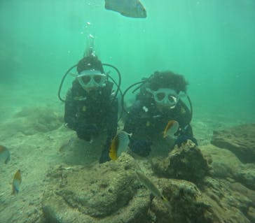 沖縄マリンサービス碧に投稿された画像（2024/9/27）