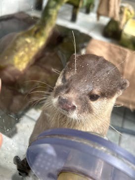下田海中水族館に投稿された画像（2024/9/27）