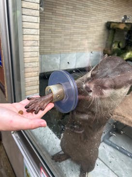 下田海中水族館に投稿された画像（2024/9/27）