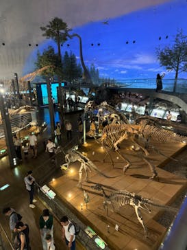 福井県立恐竜博物館に投稿された画像（2024/9/27）