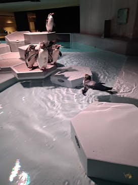 AOAO SAPPOROに投稿された画像（2024/9/27）