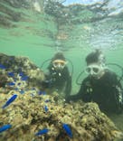 沖縄マリンサービス碧に投稿された画像（2024/9/27）