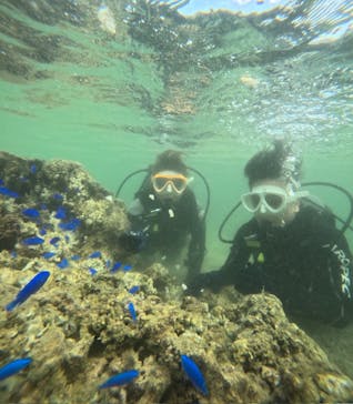 沖縄マリンサービス碧に投稿された画像（2024/9/27）