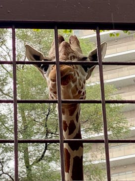 恩賜上野動物園に投稿された画像（2024/9/27）