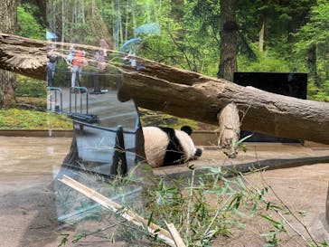 恩賜上野動物園に投稿された画像（2024/9/27）
