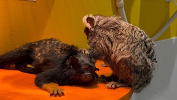 アニタッチ 東京ドームシティに投稿された画像（2024/9/27）